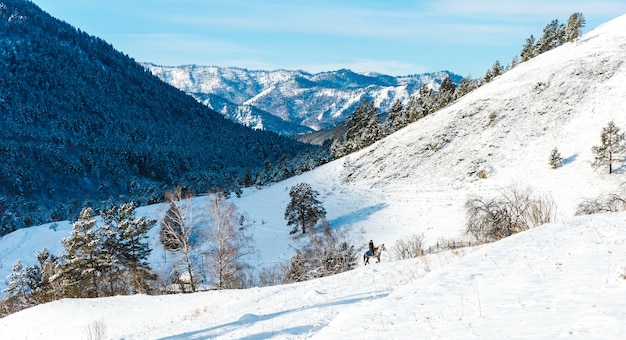 Winterlandschap met sparren en bergen