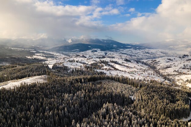 Winterlandschap met sparren van besneeuwde bossen in koude bergen.