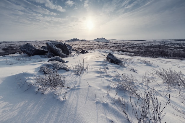 Winterlandschap met steppe bedekt sneeuw. ijzig gras in besneeuwde prairie