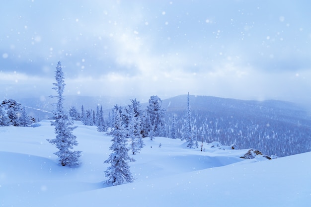 Winterlandschap met vallende sneeuw