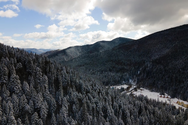 Winterlandschap met vuren bomen van besneeuwd bos in koude bergen