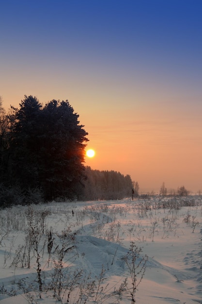 Winterlandschap met zonsondergang