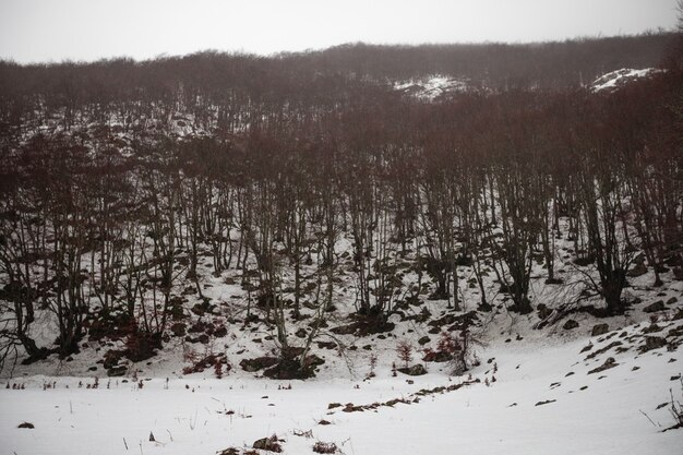 Winterlandschap op de Aizkorri-berg in Baskenland.