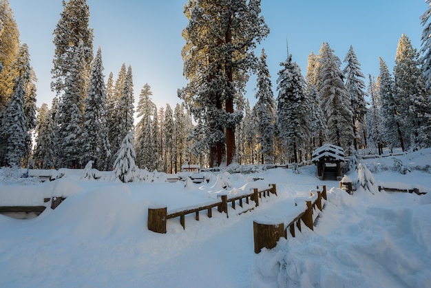 Winterlandschap op de berg in de ochtend