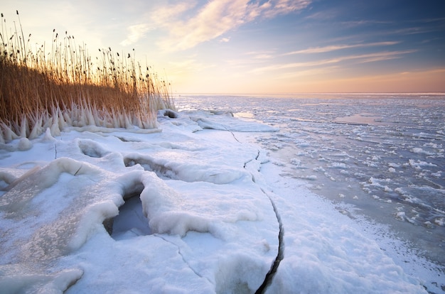 Winterlandschap. Samenstelling van de natuur.