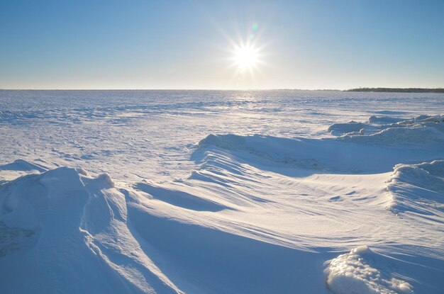 Winterlandschap Samenstelling van de natuur