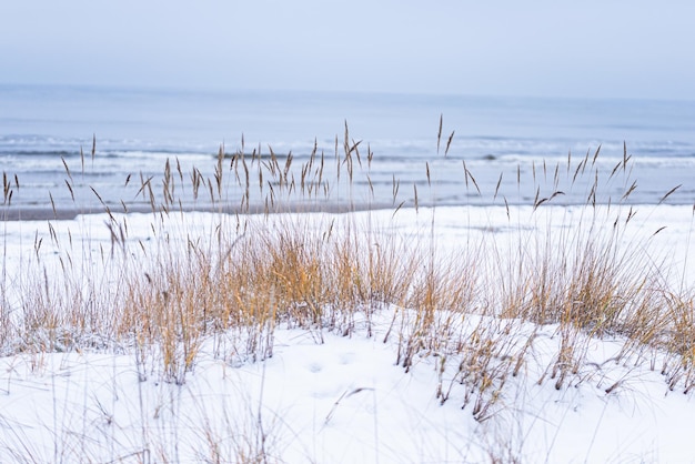 Winterlandschap, sneeuw op zee strand