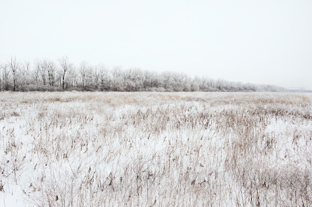 Foto winterlandschap van besneeuwd veld