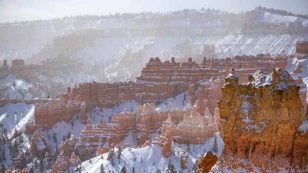 winterlandschap van bryce canyon nationaal park ijskoude rode rotsen bedekt met sneeuw, usa winter