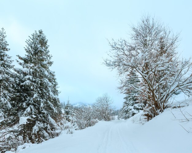 Winterlandschap van de Karpaten