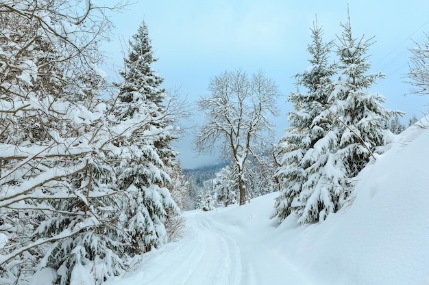 Winterlandschap van de Karpaten