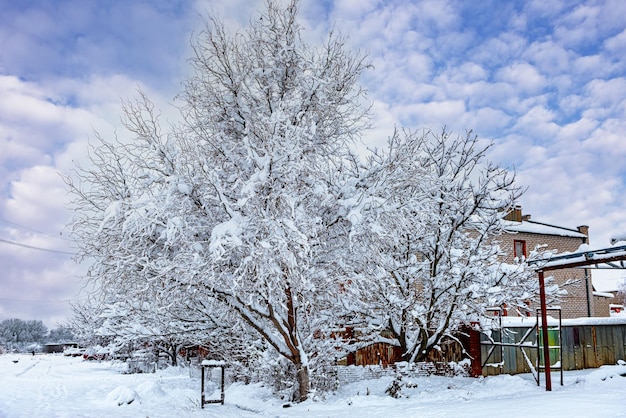 Winterlandschap van het platteland