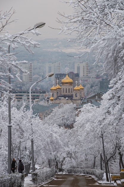 Winterlandschap van Pyatigorsk, noordelijke Kaukasus, Rusland