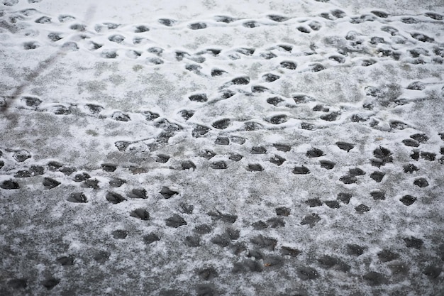 Winterlandschap van velden en wegen