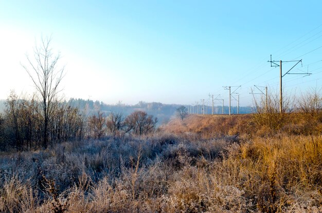 Foto winterlandschap vorst op het gras van een weiland op het platteland ochtendzon en mist