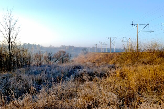 Winterlandschap Vorst op het gras van een weiland op het platteland Ochtendzon en mist