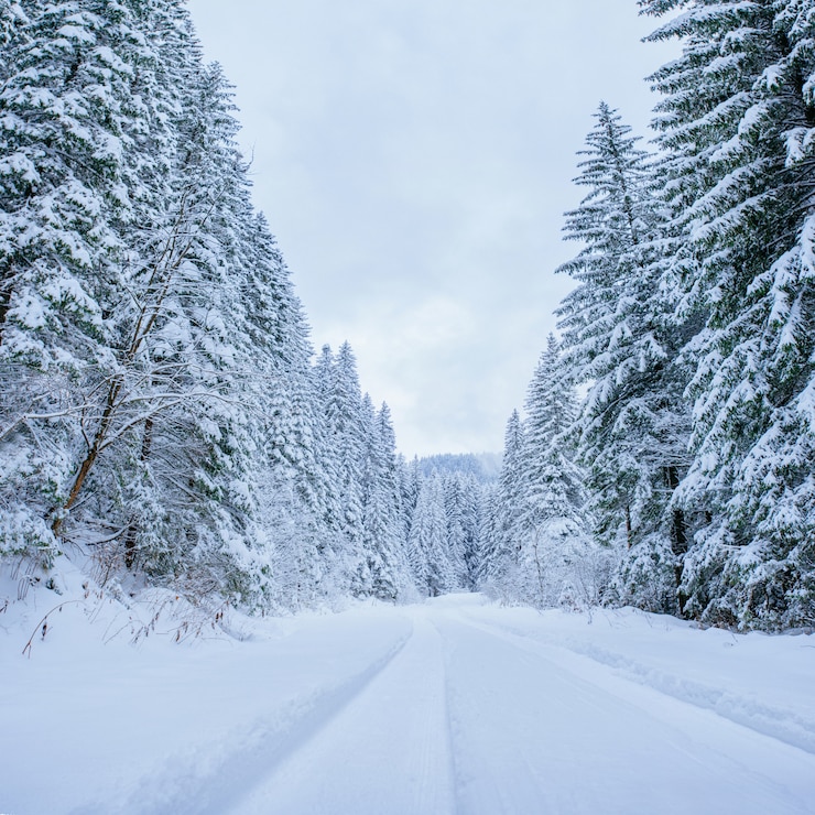 Foto winterlandschap weg