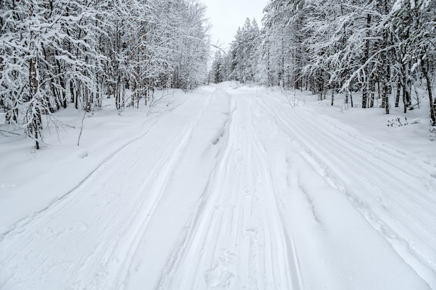 Winterlandschap. Winter weg door een besneeuwde bos