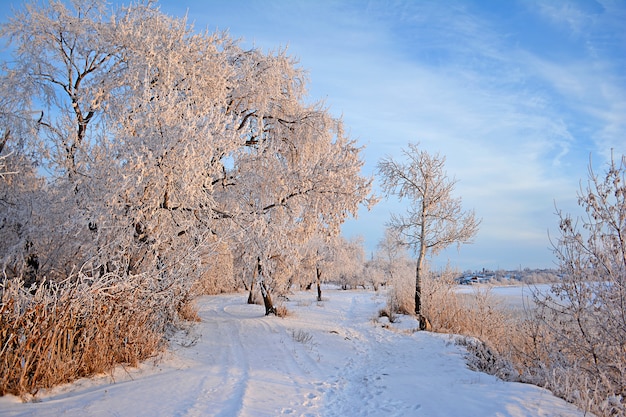 Winterlandschap