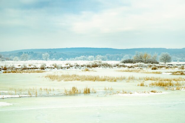 Winterlandschap