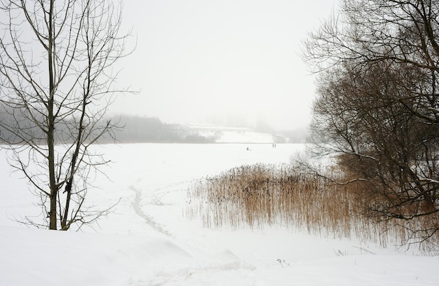 Winterlandschap