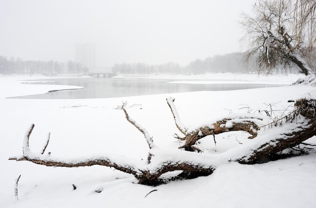 Winterlandschap