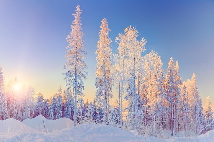 Foto winterlandschap