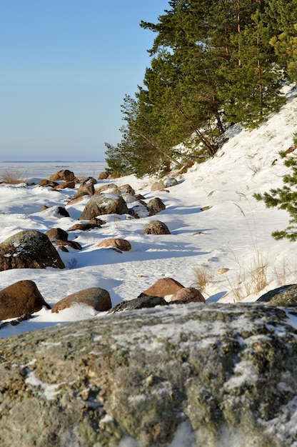 Winterlandschap