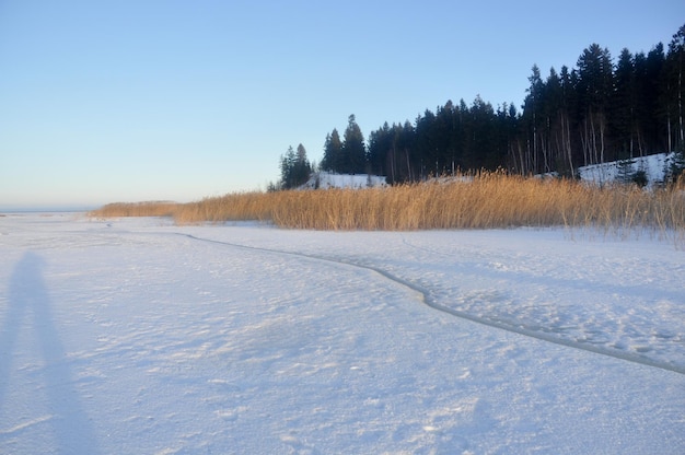 Winterlandschap