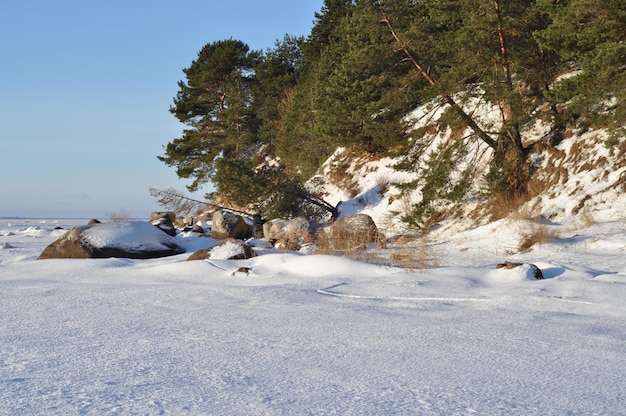 Winterlandschap