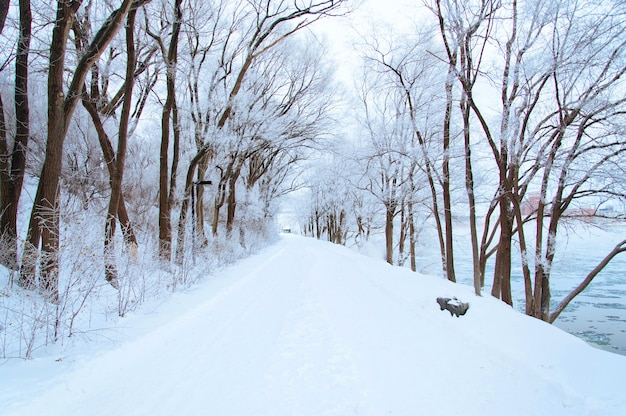 Winterlandschap