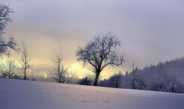 Winterlandschap