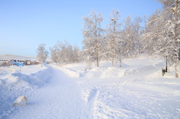 Winterlandschapstuin