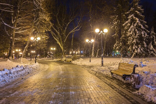 Winternachtlandschapsbank onder bomen en glanzende straatverlichting vallende sneeuwvlokken