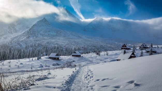 Winterpad om te schuilen bij zonsopgang in het Tatra-gebergte Polen