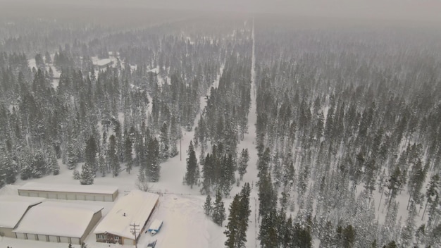 Winterpad panoramisch landschap met besneeuwde bospad zware sneeuwval