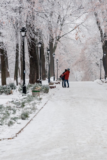 Winterpark bedekt met sneeuw en rijp