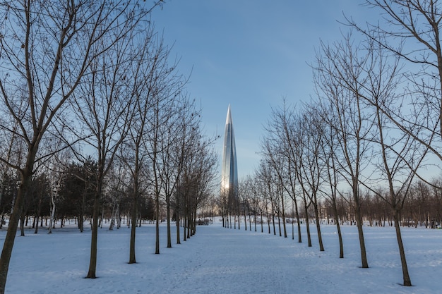 Winterpark met pad door de bomenrij naar de moderne glazen toren.