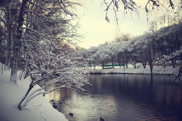 winterpark, stadsgezicht bij winterweer / landschap sneeuw, stad, bomen in een stadspark in het noorden