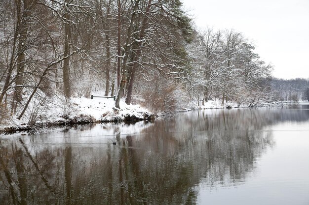 Winterreflectie