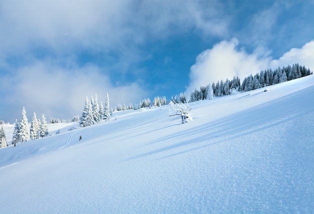 Winterrijp en met sneeuw bedekte sparren op berghelling op bewolkte hemelachtergrond