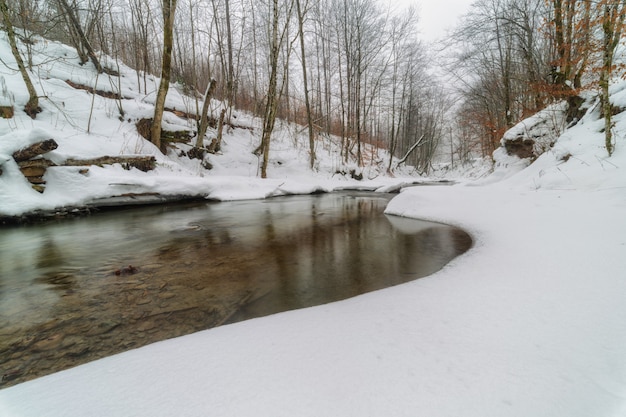 Winterrivier in de karpaten met besneeuwde oevers