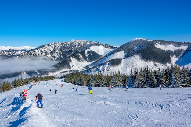 Winterse bergen. Brede en glooiende skipiste bij zonnig weer. Veel skiërs. Lichte mist in de vallei