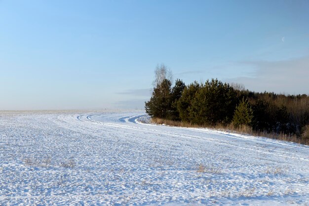 Winterseizoen met sneeuwbanken na sneeuwval