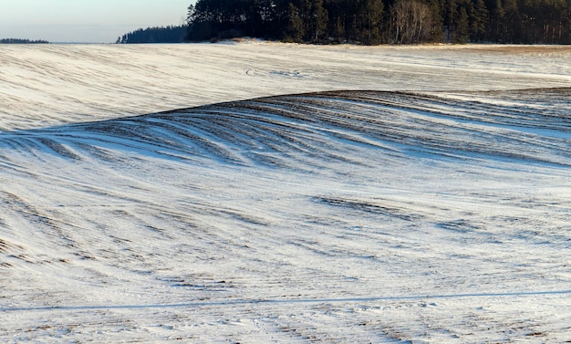 Winterseizoen met sneeuwbanken na sneeuwval