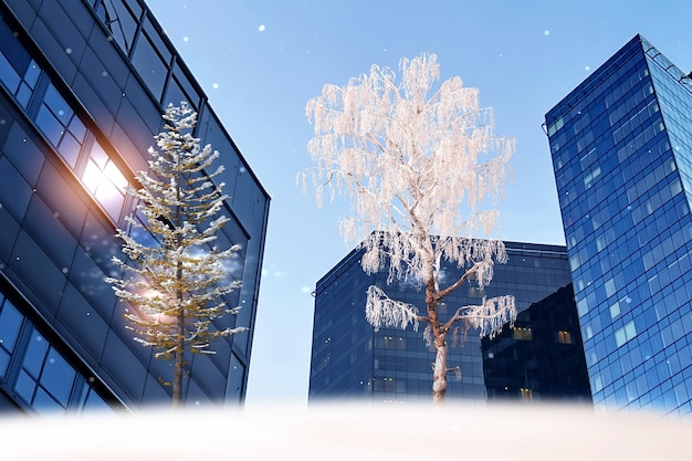 Winterstad, bomen bedekt met sneeuw, moderne gebouwen, lichtreflectie in ramen