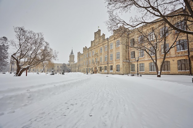 Winterstadslandschap Winterpark bedekt met sneeuw