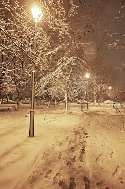 Wintersteeg in park en glanzende lantaarns