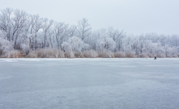 Wintertijd in bosmeer