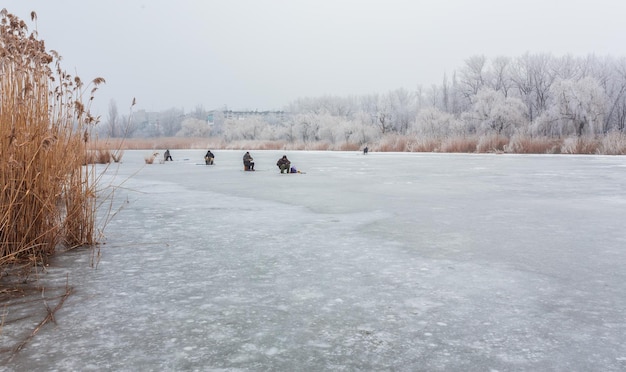 Wintertijd in bosmeer